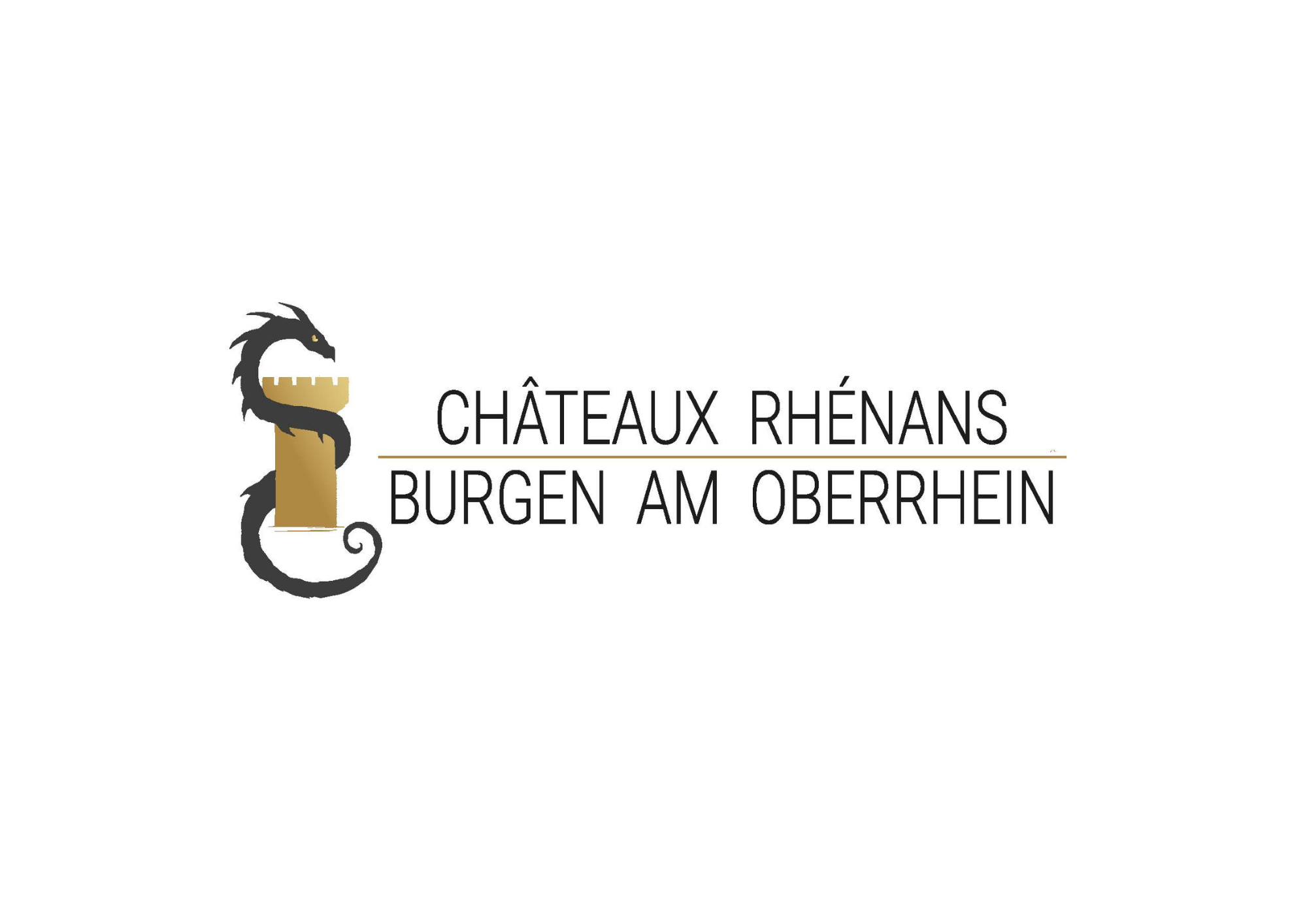 Partenaire 1